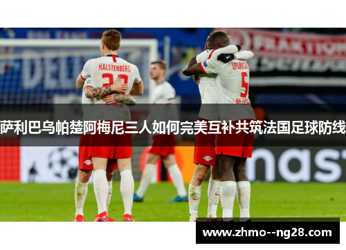 萨利巴乌帕楚阿梅尼三人如何完美互补共筑法国足球防线 萨利巴乌帕楚阿梅尼三人如何完美互补共筑法国足球防线