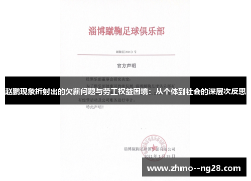 赵鹏现象折射出的欠薪问题与劳工权益困境：从个体到社会的深层次反思