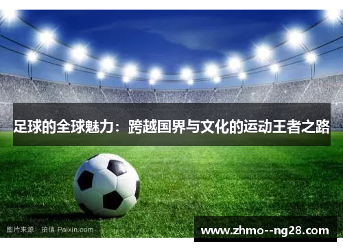 足球的全球魅力：跨越国界与文化的运动王者之路