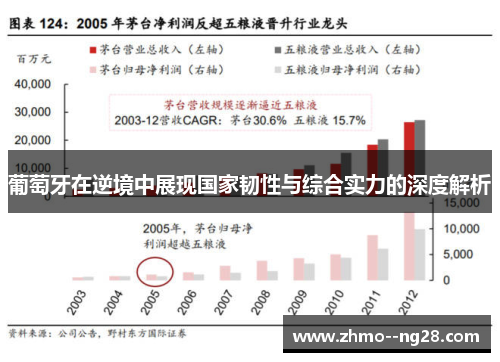 葡萄牙在逆境中展现国家韧性与综合实力的深度解析