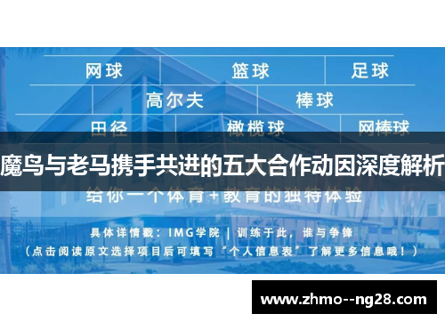 魔鸟与老马携手共进的五大合作动因深度解析