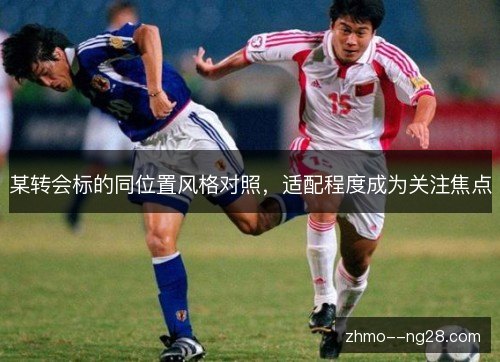 某转会标的同位置风格对照，适配程度成为关注焦点